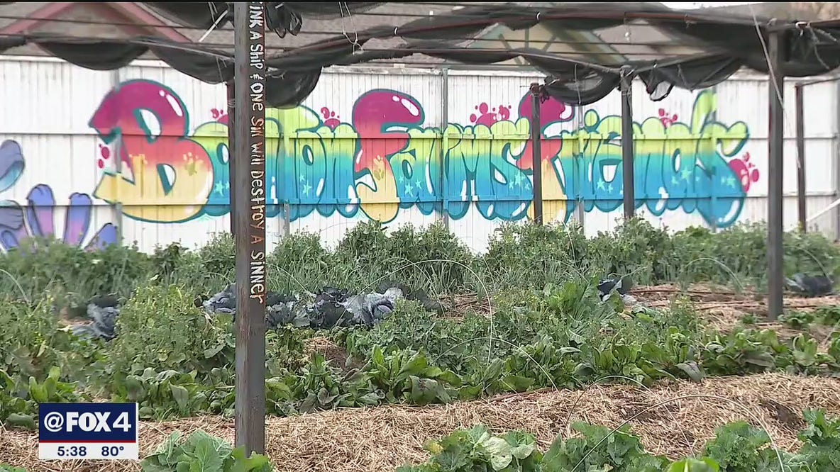 Bonton Farms hoping to raise millions to address inequalities in its South Dallas neighborhood